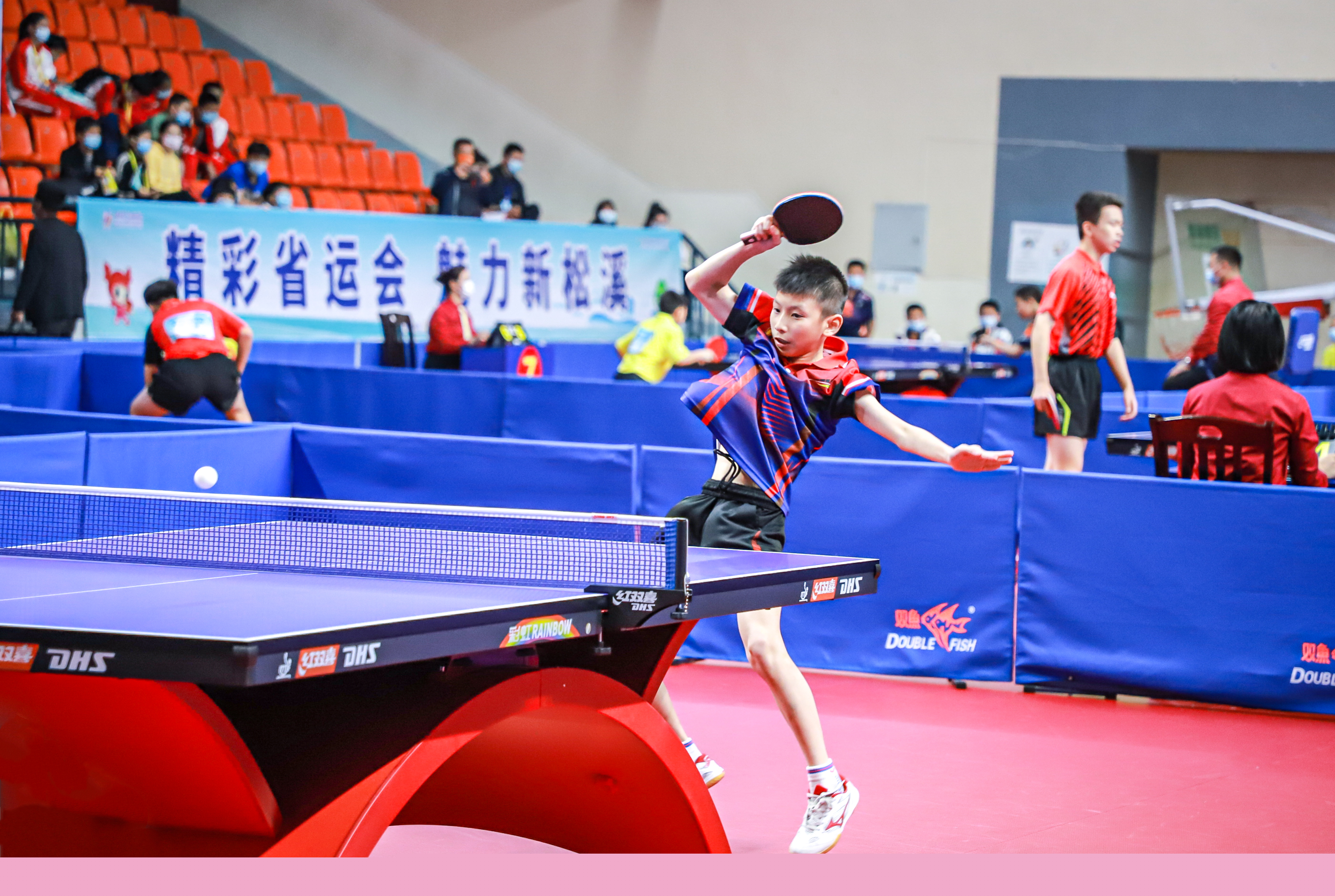 不仅展现出 不仅展现出