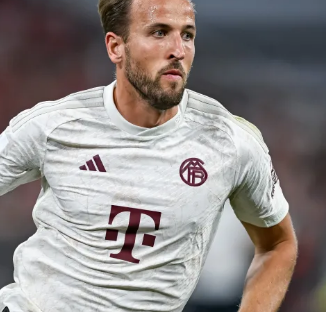 该不该投 该不该投